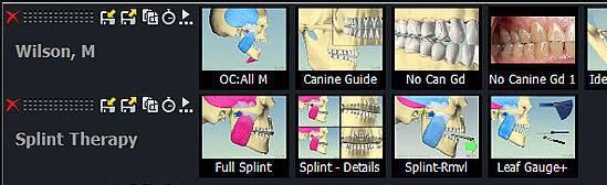 Splint Therapy Appended