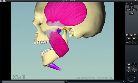 Early-Release-Flip-Animations-Feature.png
