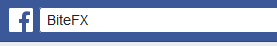 Facebook Search Bar.png